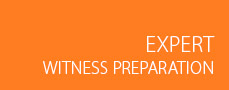 Expert Witness Preparation