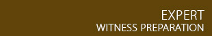 Expert Witness Preparation